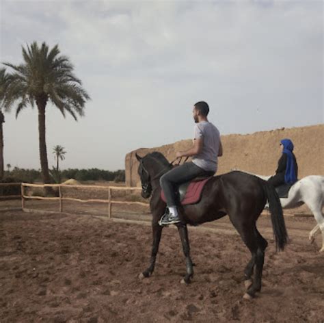 club equestre marrakech|Domaine Equestre Palmeraie Marrakech – Equestre .